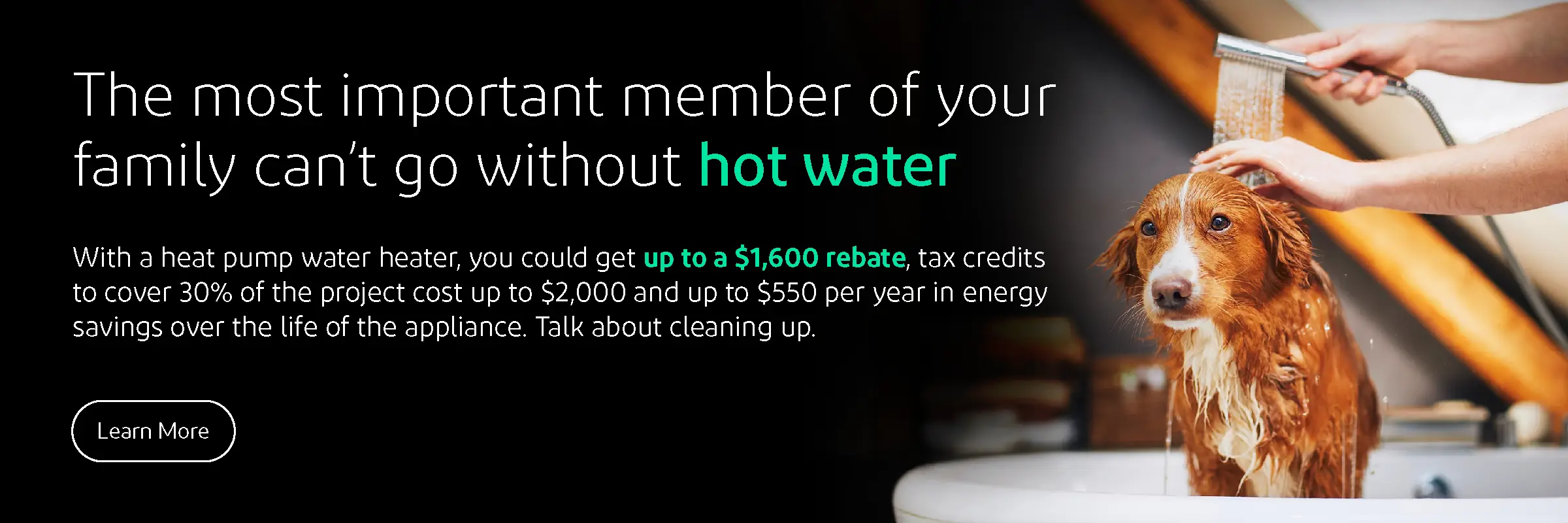 The most important member of your family can't go without hot water. With a heat pump water heater, you could get up to a $1,600 rebate, tax credits to cover up to 30% of the project cost up to $2,000 and $5,000 in energy savings over the life of the appliance. Talk about cleaning up.