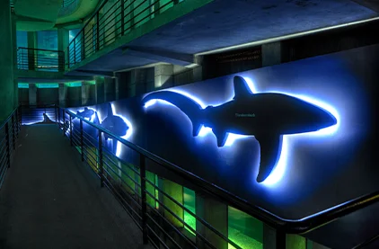 Energy-efficient LED