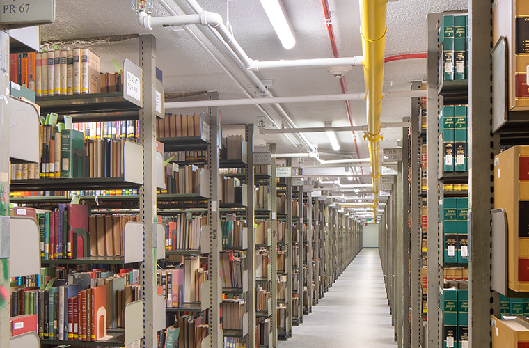 Basement bookshelfs