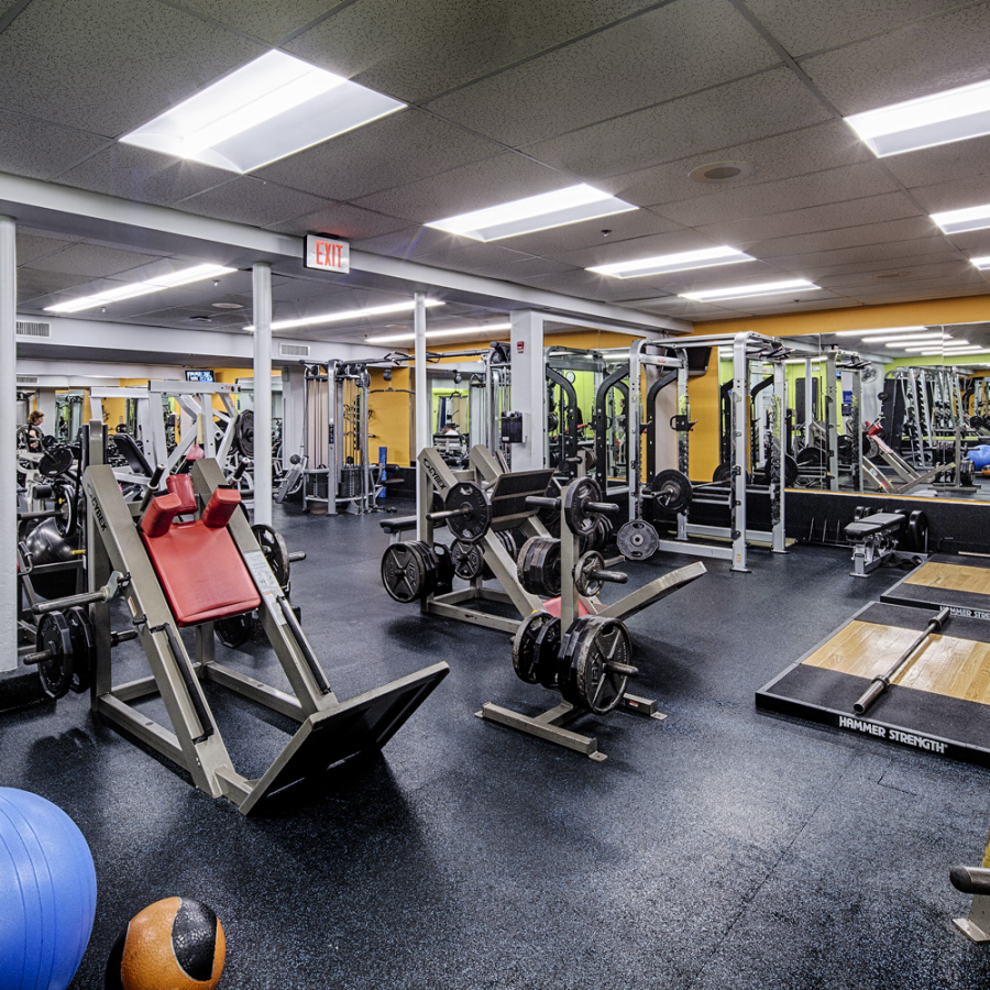gym